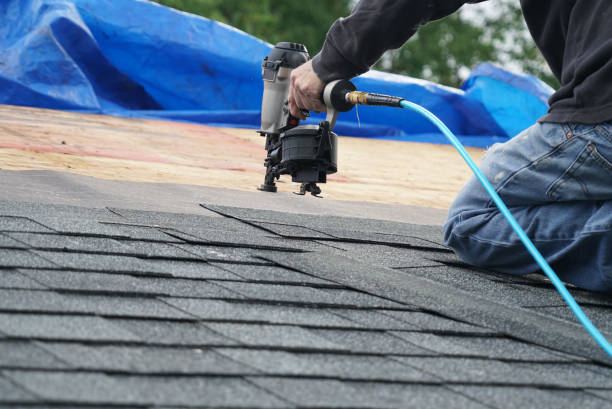 Best Roof Gutter Cleaning  in Vandergrift, PA