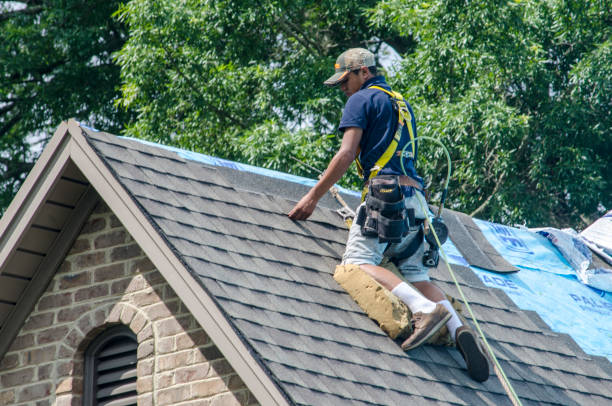 Best Flat Roof Repair Services  in Vandergrift, PA
